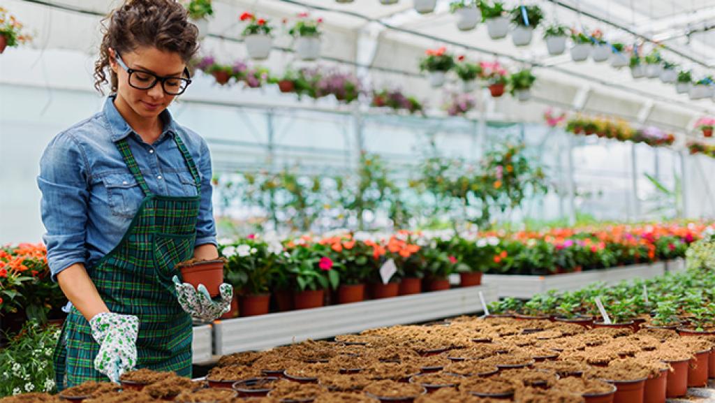 Bannière visuelle de présentation de la formation