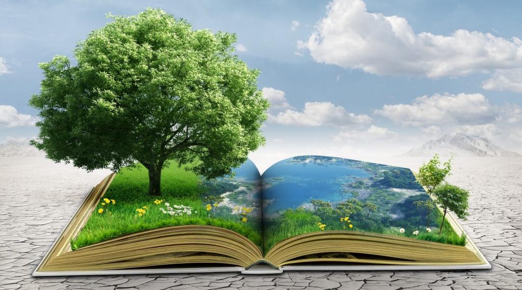 Bannière visuelle de présentation de la formation