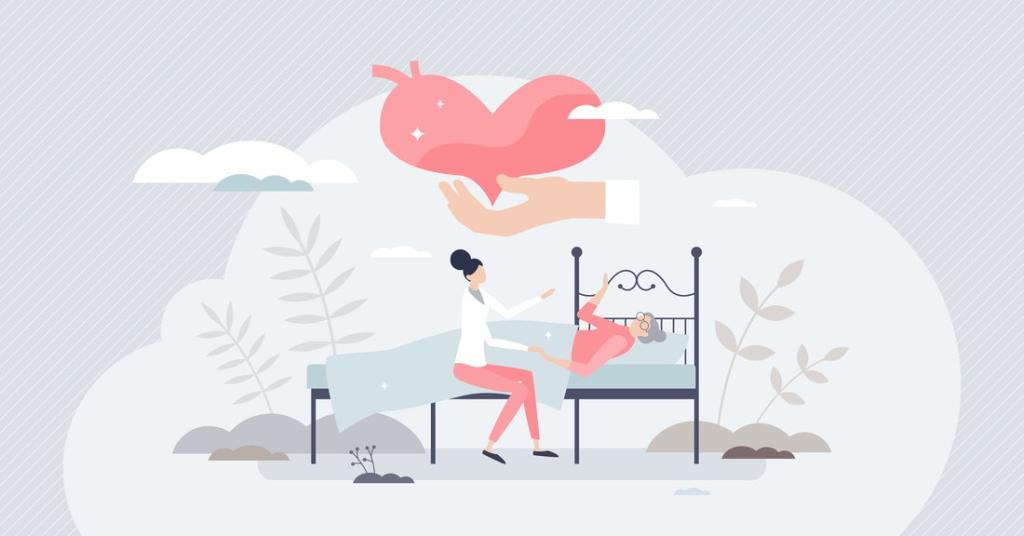 Bannière visuelle de présentation de la formation
