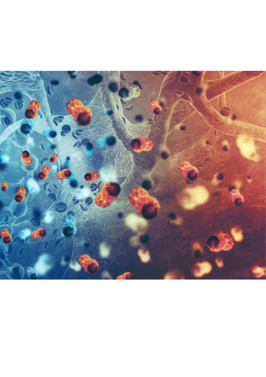 Bannière visuelle de présentation de la formation