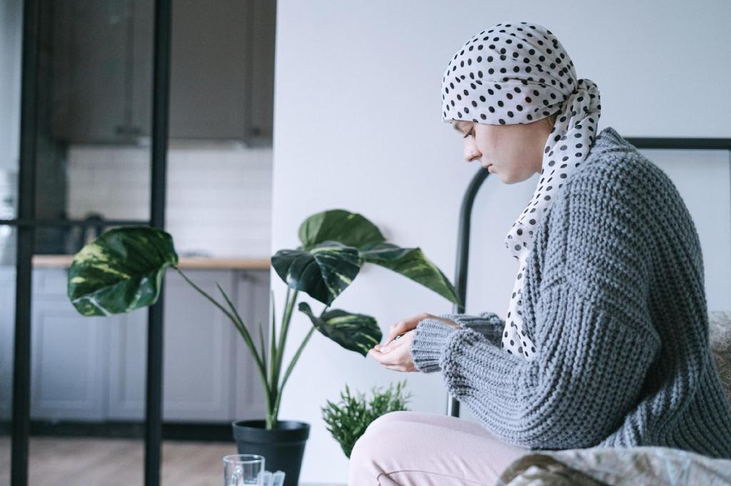 Bannière visuelle de présentation de la formation