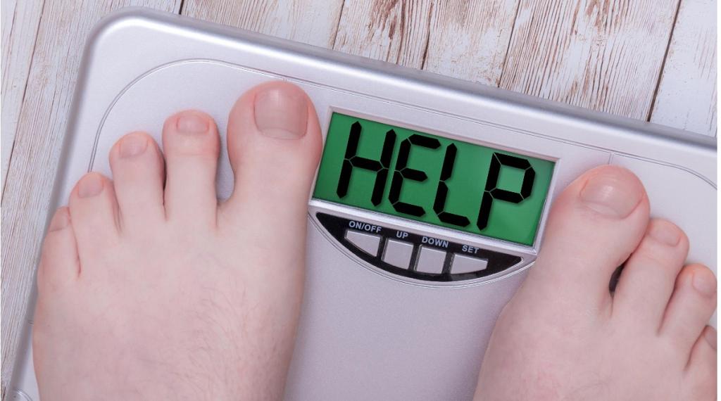 Bannière visuelle de présentation de la formation