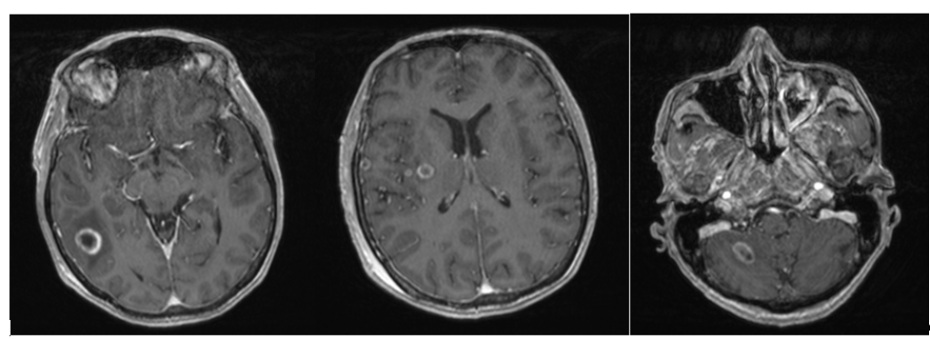 Bannière visuelle de présentation de la formation