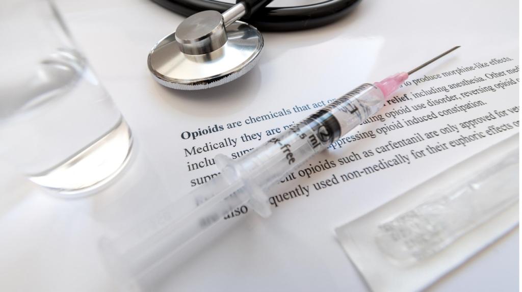 Bannière visuelle de présentation de la formation