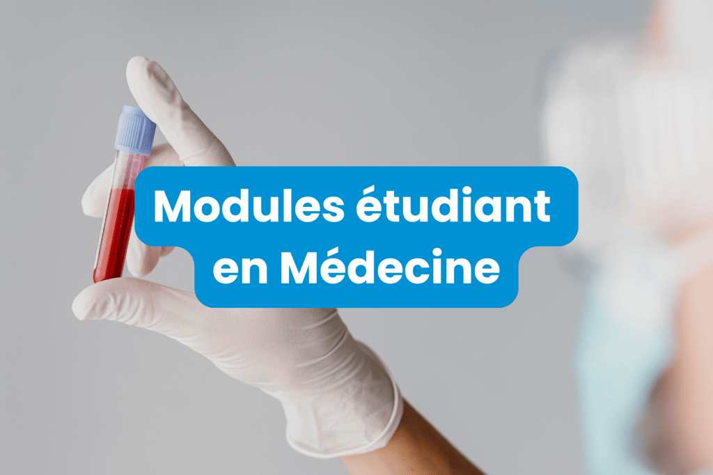 Bannière visuelle de présentation de la formation