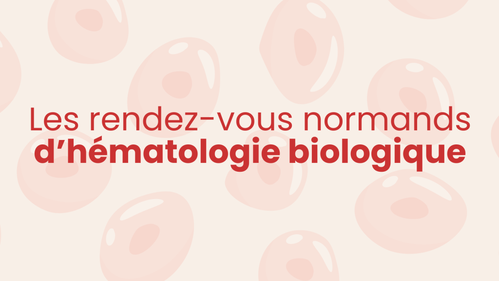 Bannière visuelle de présentation de la formation