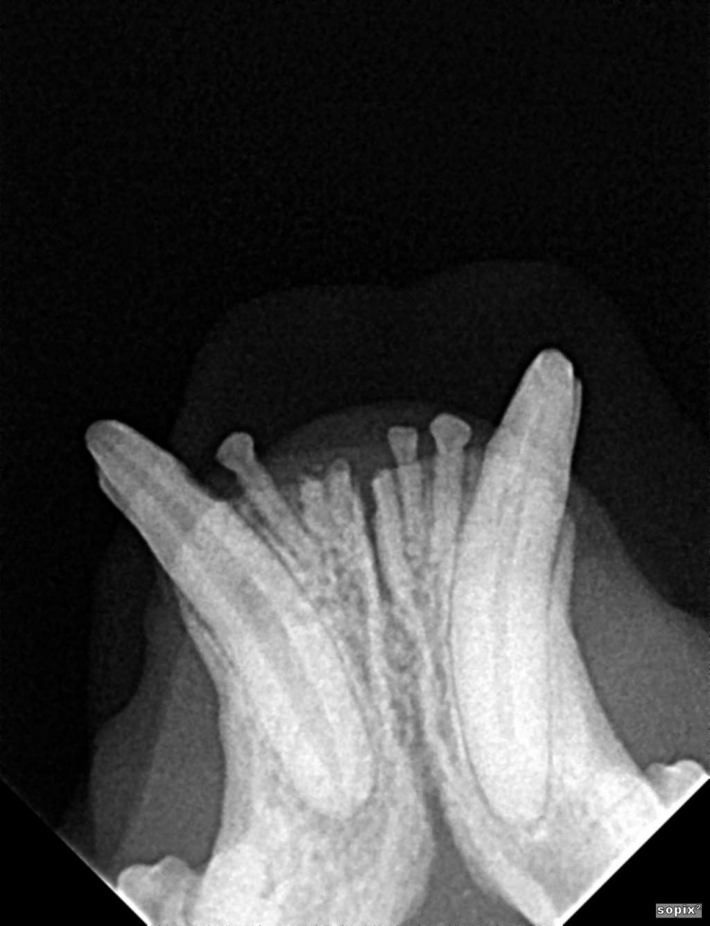 Bannière visuelle de présentation de la formation