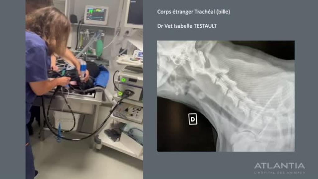 Bannière visuelle de présentation de la formation