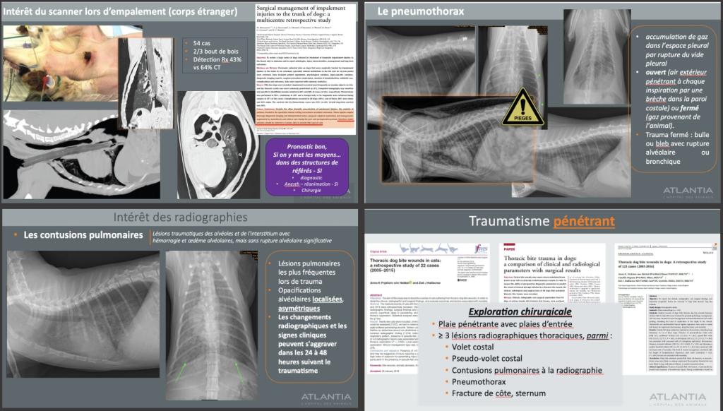 Bannière visuelle de présentation de la formation