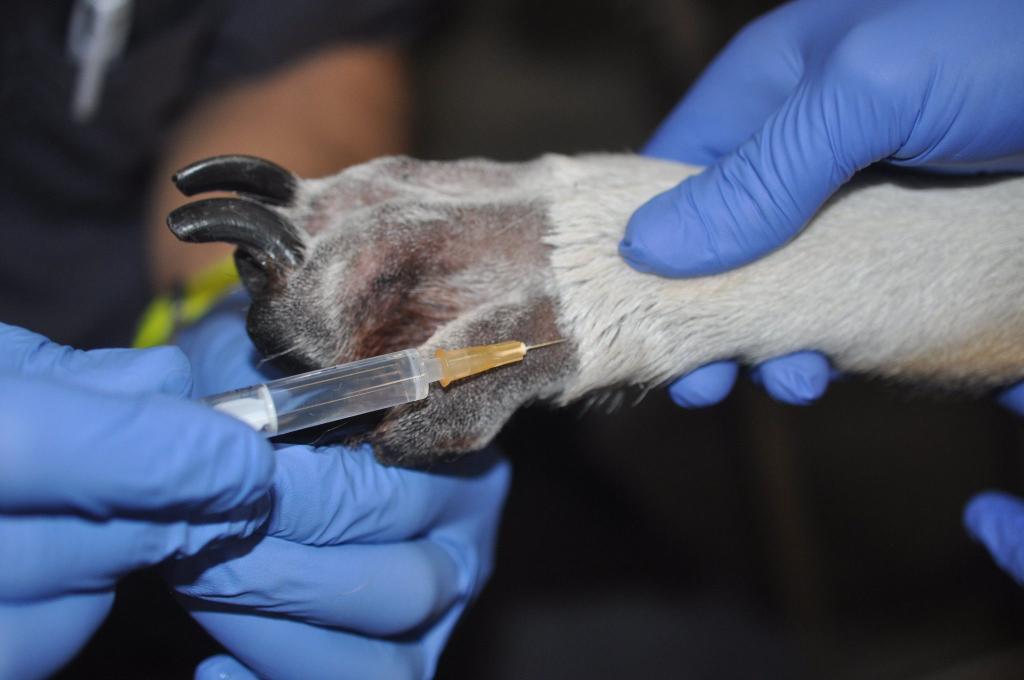 Bannière visuelle de présentation de la formation