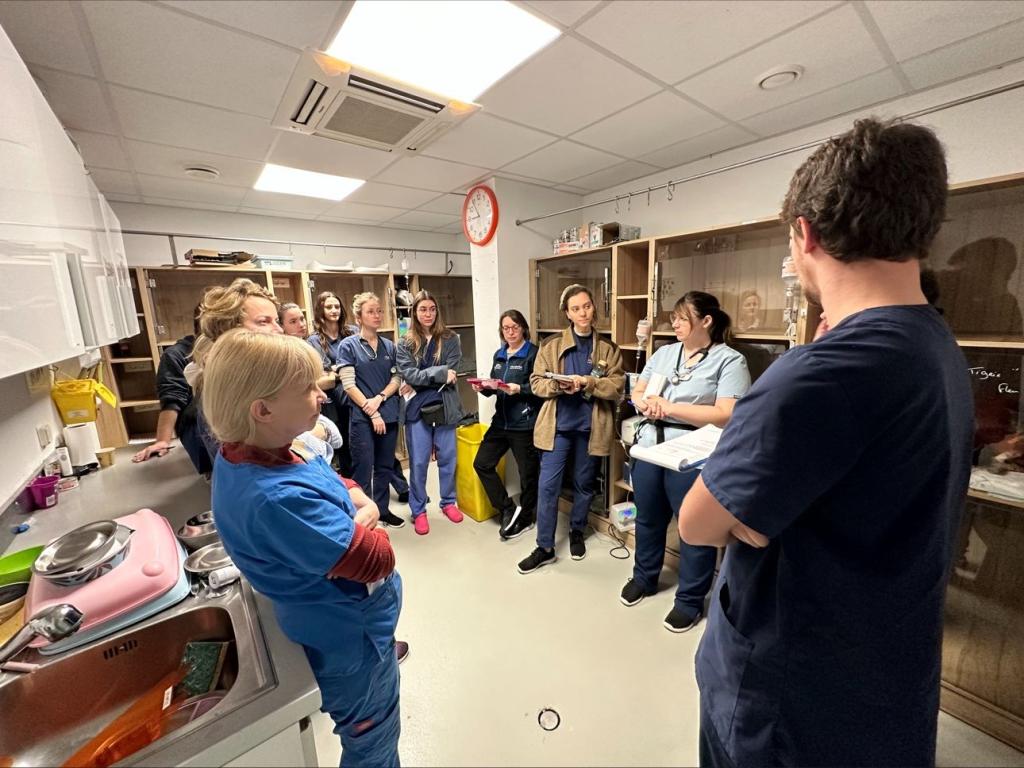 Bannière visuelle de présentation de la formation