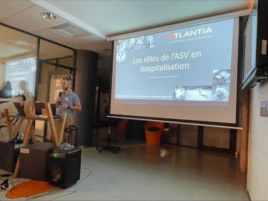 Bannière visuelle de présentation de la formation