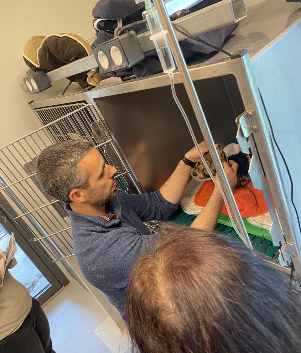 Bannière visuelle de présentation de la formation