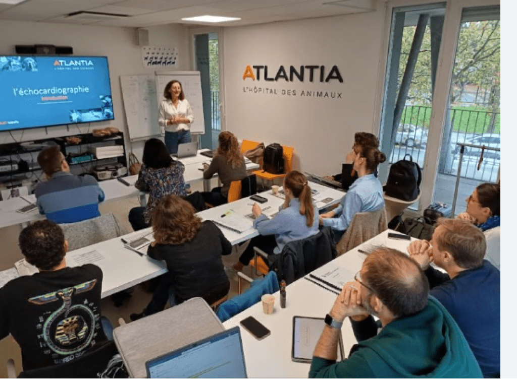 Bannière visuelle de présentation de la formation