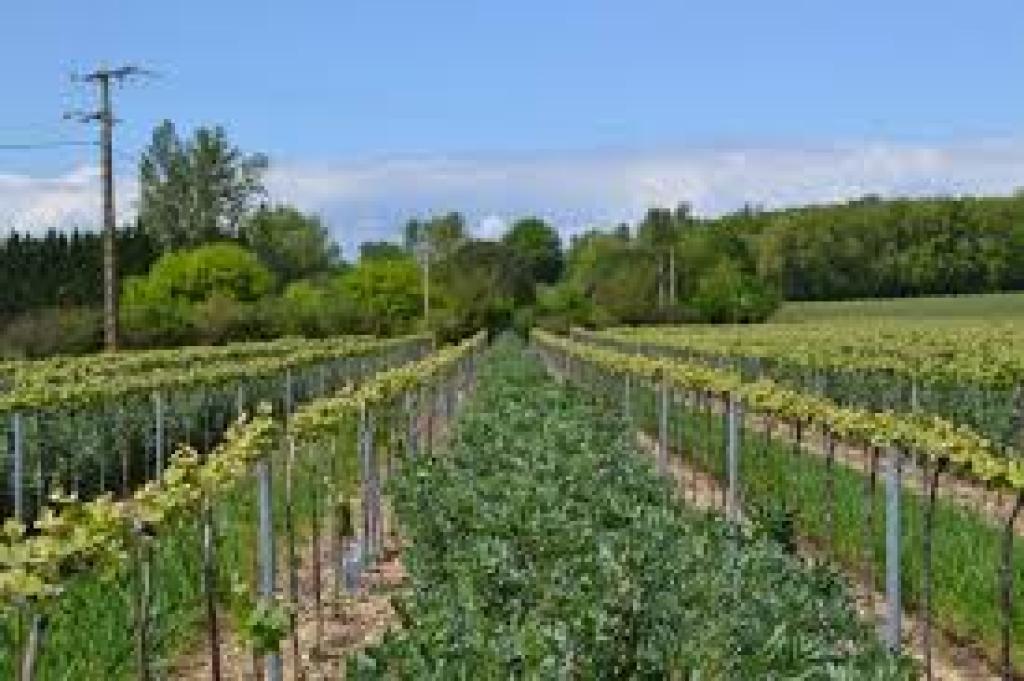 Bannière visuelle de présentation de la formation