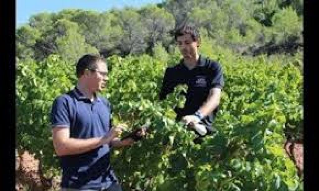 Bannière visuelle de présentation de la formation