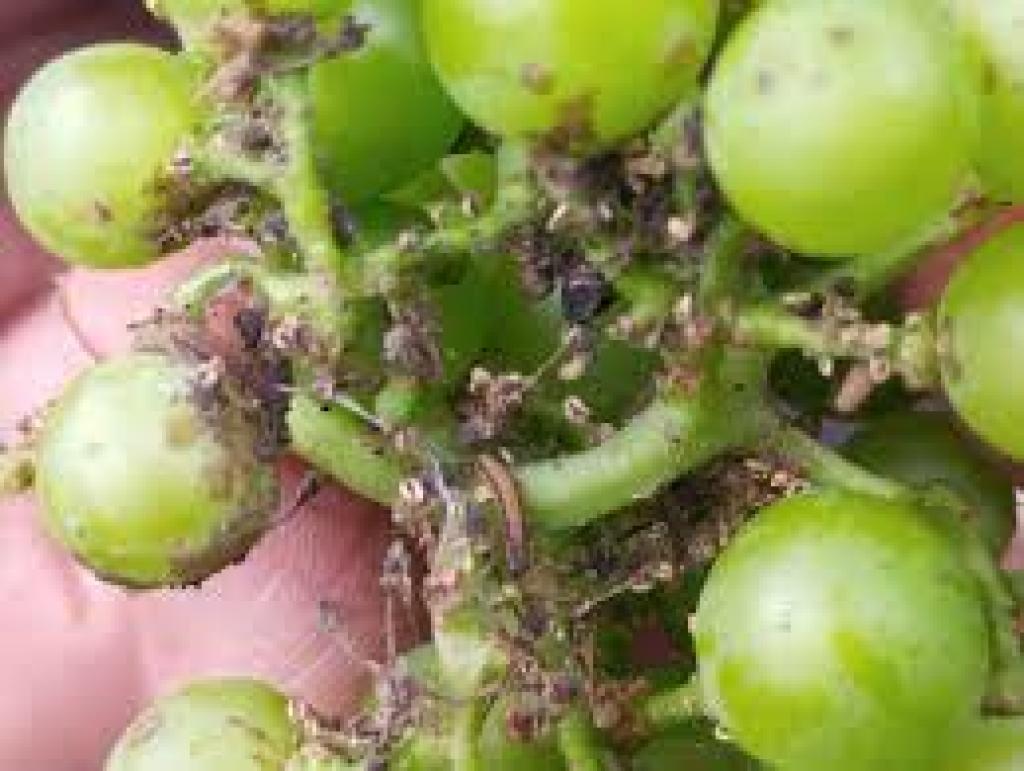 Bannière visuelle de présentation de la formation