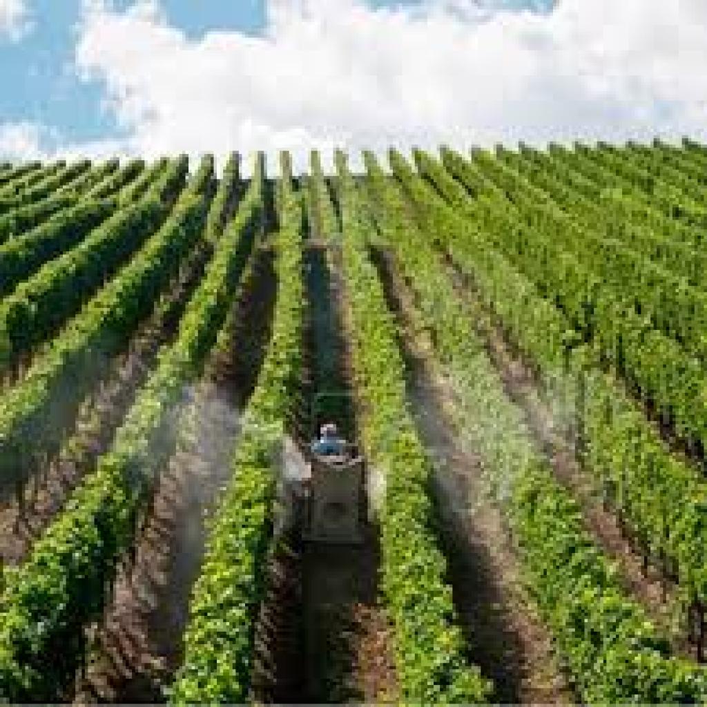 Bannière visuelle de présentation de la formation