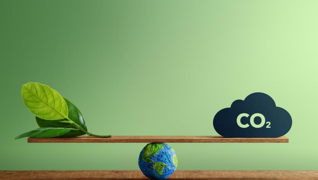 Bannière visuelle de présentation de la formation