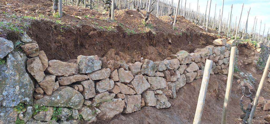 Bannière visuelle de présentation de la formation